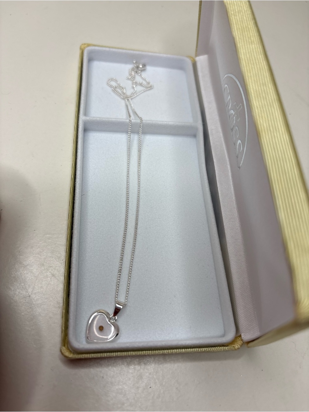 Mustard Seed Faith Heart Necklace Silver Tone Religious Pendant with Gift Box